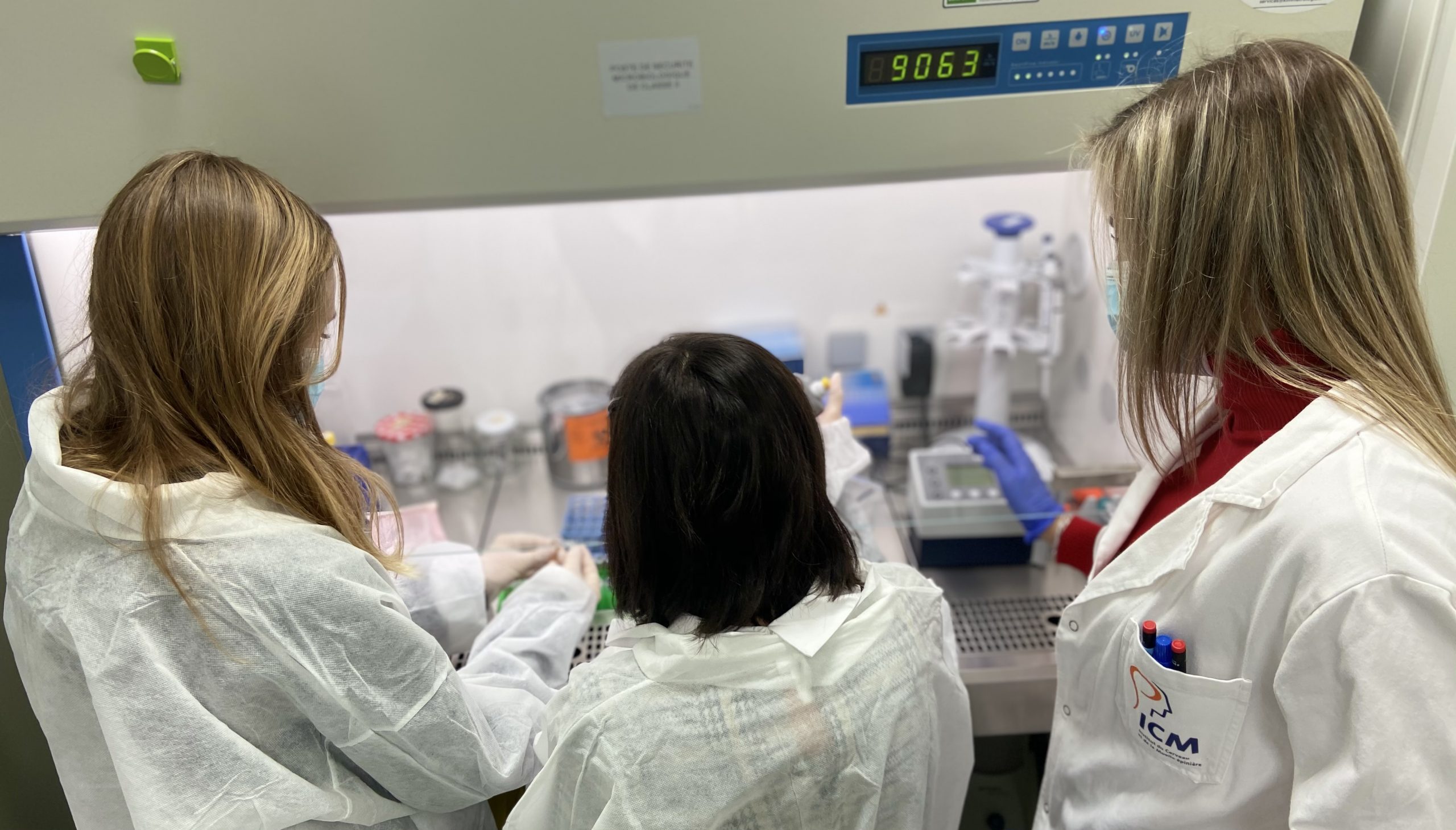 training cell culture
